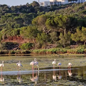 mongofre-agroturismo.balearic-islands.net/